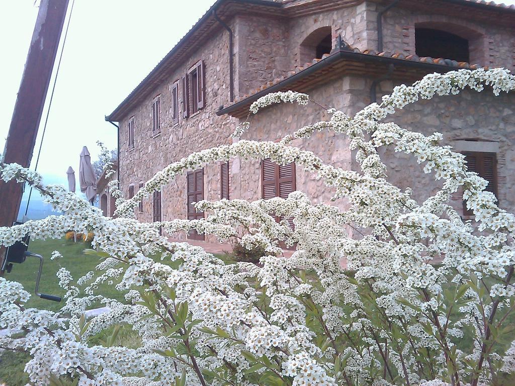 Agriturismo Il Poggiolo Montemerano Zewnętrze zdjęcie