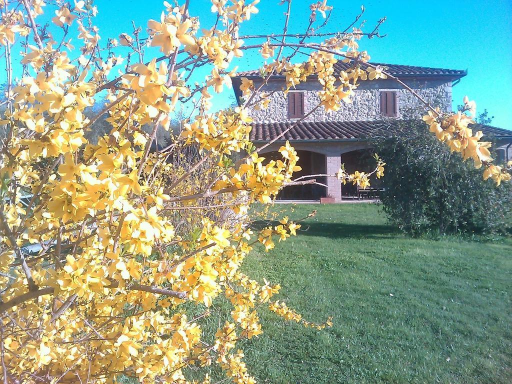 Agriturismo Il Poggiolo Montemerano Zewnętrze zdjęcie